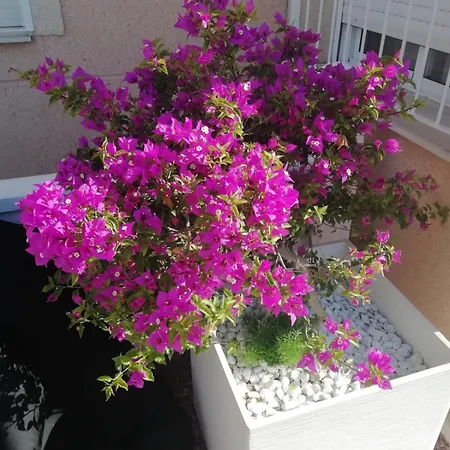 Holiday home House With Private Pool La Casa Hugo Ciudad Quesada
